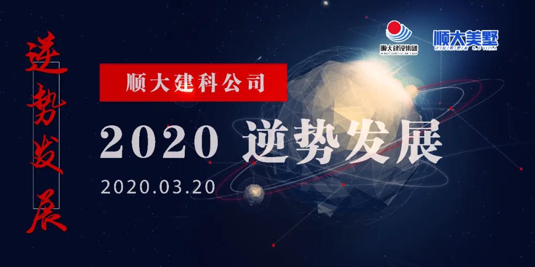 2020 逆势发展